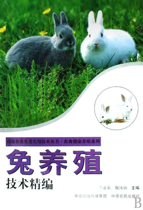 兔养殖技术精编